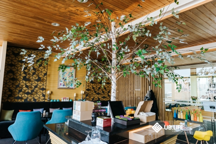Ширээн дээр: Намуухан, тохилог "Cafe Tree"