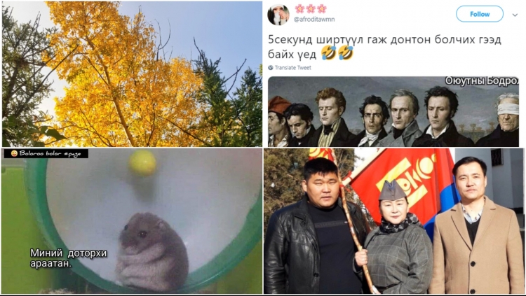 Энэ 7 хоногийн ТРЭНД сэдвүүдийн тухай ХӨГЖИЛТЭЙ 10 пост, meme