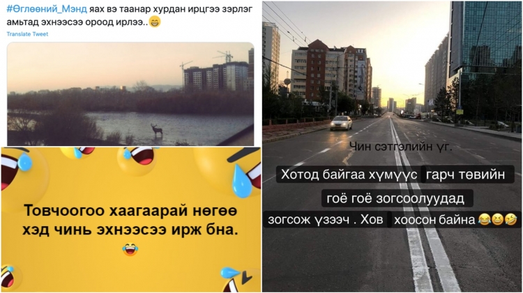 Хамаг хүмүүс хотоос гарсныг батлах хөгжилтэй 15 пост