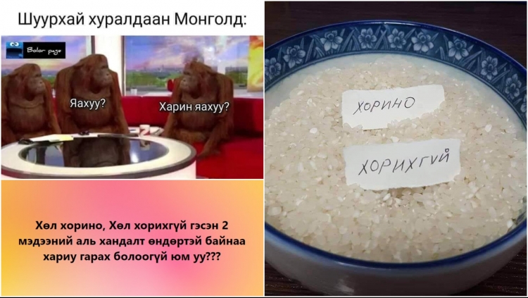 Хатуу хөл хорио тогтоох, эсэхээ шийдэж чадахгүй байгаатай холбоотой 15 хөгжилтэй пост