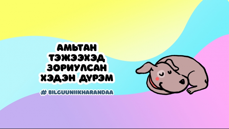 Билгүүний харандаа: Амьтан тэжээхэд зориулсан хэдэн дүрэм