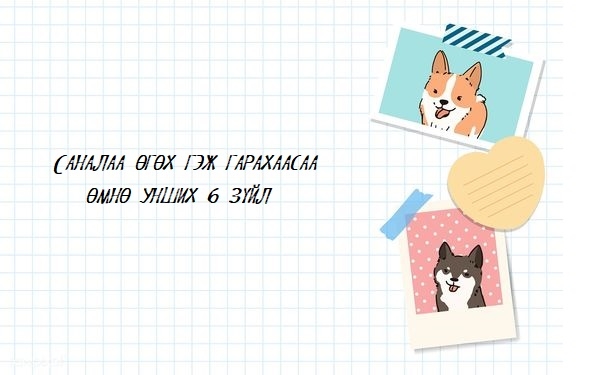 Хөөрхөн жагсаалт: Саналаа өгөхөд зайлшгүй хэрэг болох 6 чухал зүйл