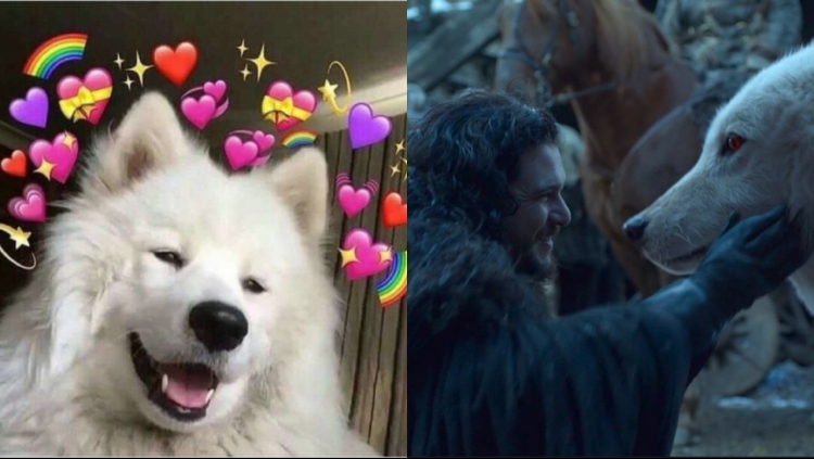 GOT: Төгсгөлийн анги дээр Жон эцэст нь нэг Гостыг эрхлүүлж үзэгчдийн сэтгэл арай дээрдэв