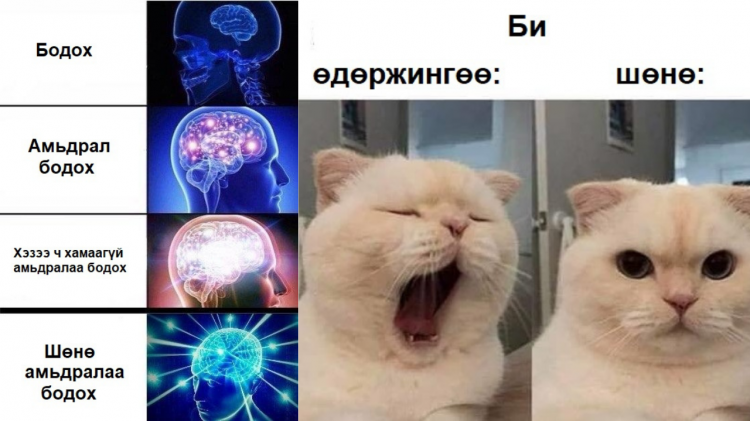 Зөвхөн ШӨНӨ л мэдэрч болох 8 гайхалтай мэдрэмж