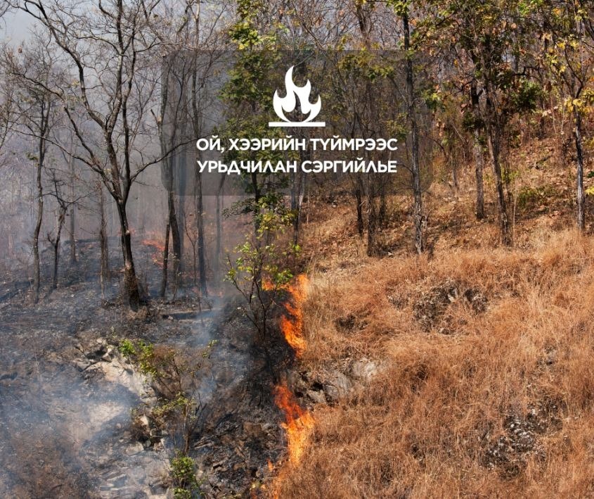 Нийслэлийн ногоон бүсэд ой, хээрийн түймрээс сэргийлэх эргүүл ажиллаж байна