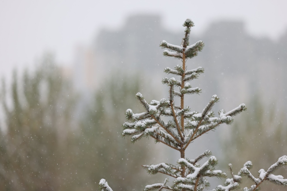 Лхагва гарагаас хүйтний эрч суларна