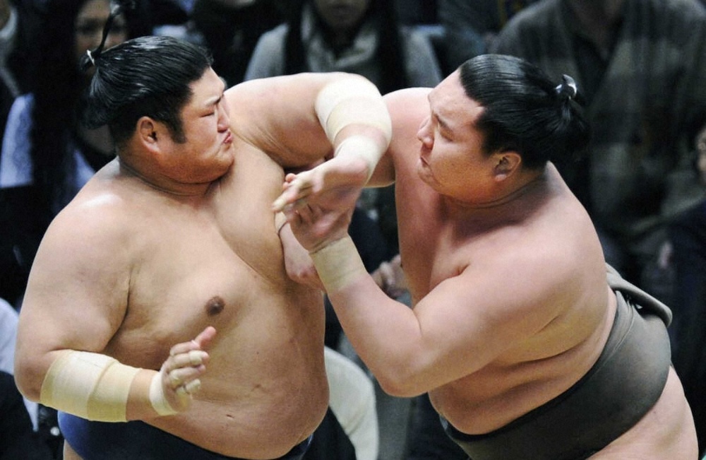 Котомицүки: Хакүхо хамгийн хүчтэй нь байлаа