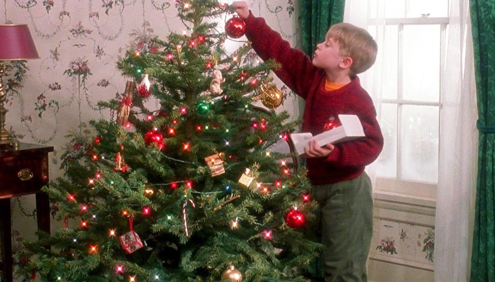 Ямар өдөр гацуур модоо засахыг зурхайчид зааж өглөө