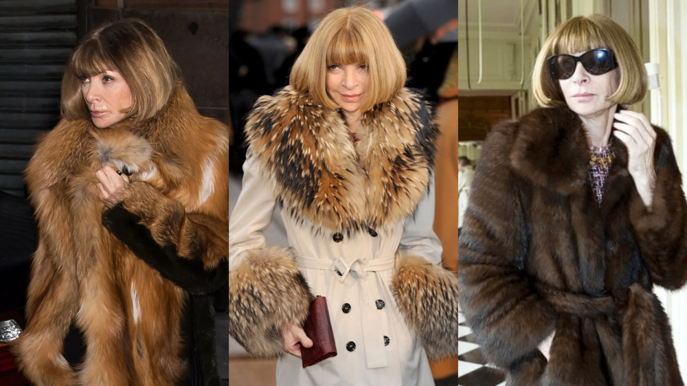 ‘’Vogue’’ сэтгүүл амьтны үсэн хувцас эдлэлийн талаар ямар ч мэдээ, сурталчилгаа хийхгүй 