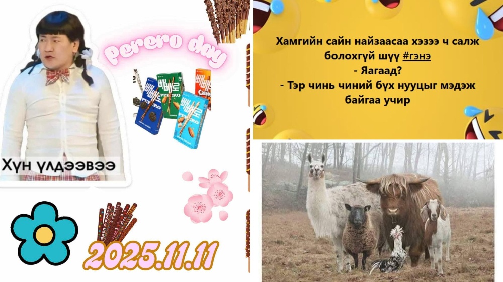 ЗӨВХӨН сайн найзуудын л ОЙЛГОХ 16 зүйл