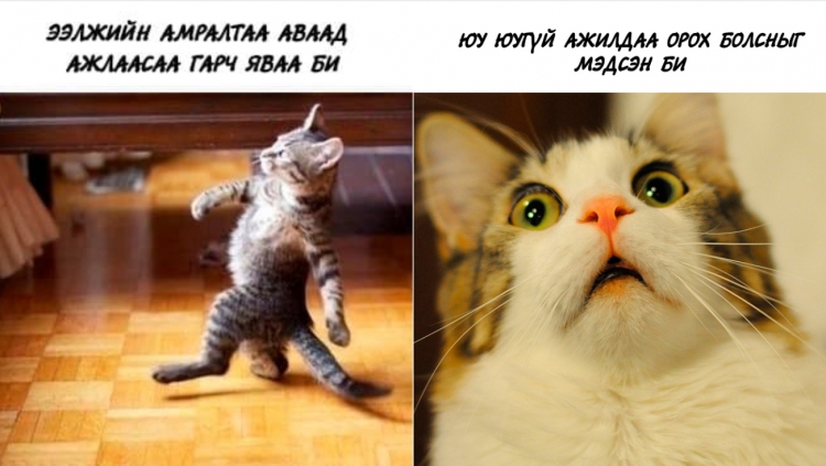 Амралтын дараа хуучин амьдралын хэв маяг руугаа буцаж ороход туслах 6 алхам