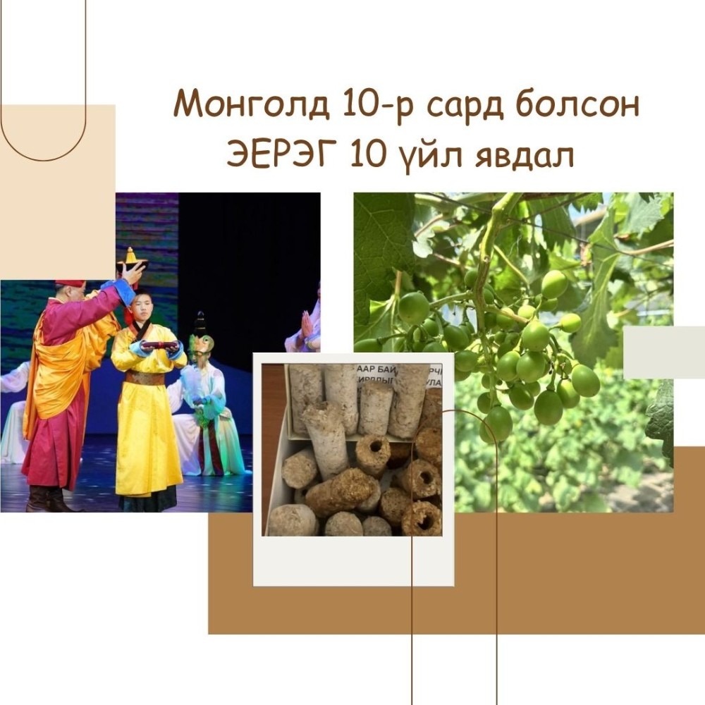 ЭЕРЭГ МЭДЭЭ | Монголд энэ 10-р сард болсон ЭЕРЭГ 10 үйл явдал