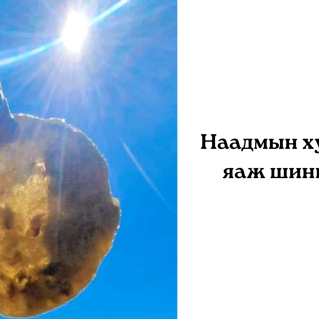 Наадмын хуушуураа богино хугацаанд шингээх 6 арга